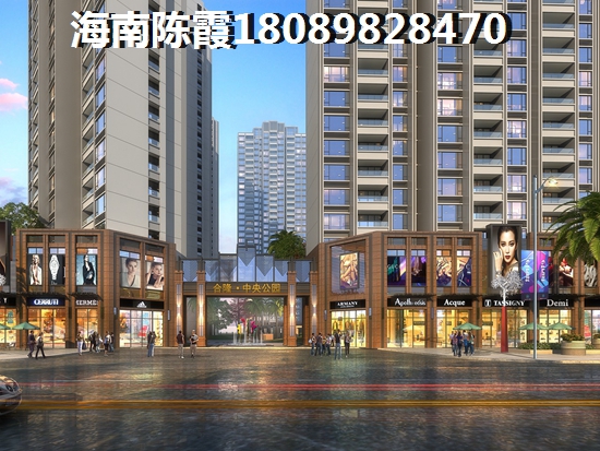 海南乐东龙栖湾买房条件