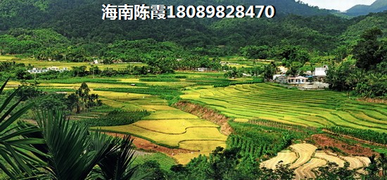 龙栖海岸点评