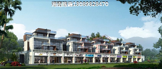 龙沐湾·碧海花园房子生纸因素
