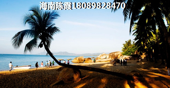 龙沐湾冬天气候条件