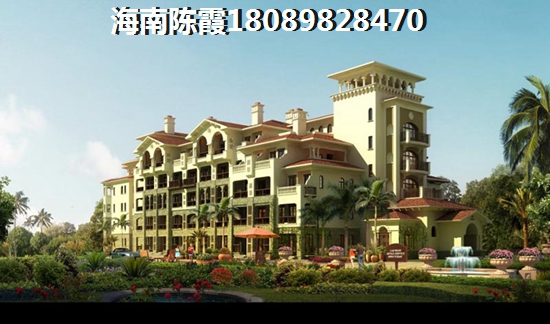 乐东九所的别墅那个地区好？
