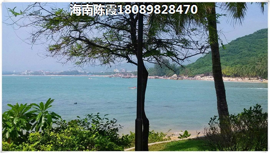 乐东龙栖湾哪个地方房价醉低