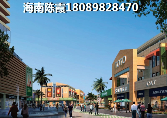 乐东公寓的touzi风险