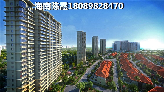 乐东九所小户型房地产什么样？