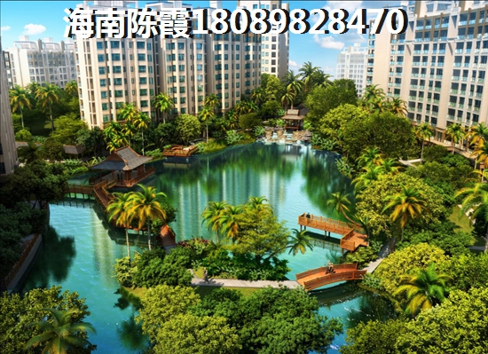 乐东恒大楼盘好不好