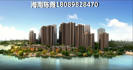 乐东九所镇的房价现在多少钱一平方米？