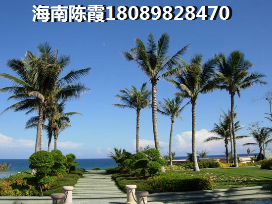 害羞的墓地小游戏