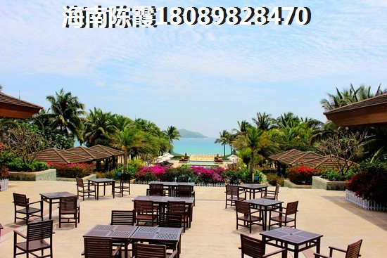 公司会计人员怎么取名