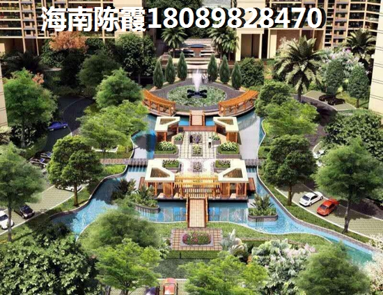 乐东龙栖湾发展前景