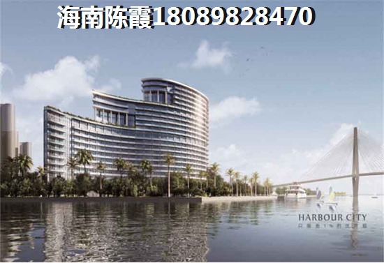 鲨鱼鳍品牌加盟需要什么条件
