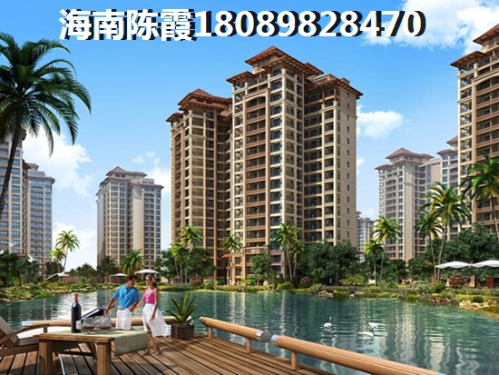 乐东九所房价难以大涨？