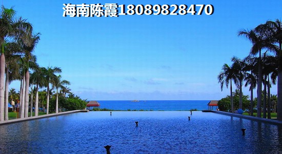 决明子炒烧了可以吃吗