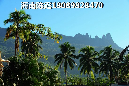属兔如何取名好听男孩名字