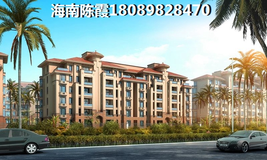 05世青赛参赛队