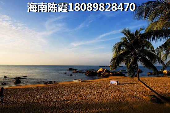 西藏人应该在乐东九所镇哪里买房产，乐东黎族自治县九所新区房价