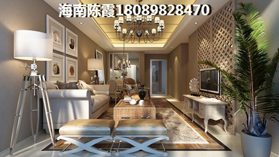 乐东县龙栖湾1号房价，海南乐东龙栖湾房价低的小区推荐！