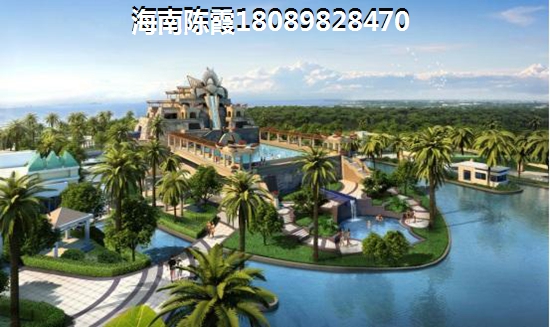 手机单机是什么意思