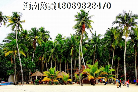福州房价平均价格，福州房价狂涨