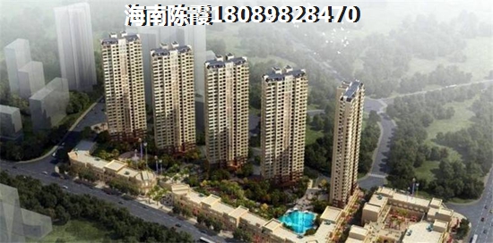 到底纸不纸得在乐东九所镇买房？，乐东九所适合touzi的项目有哪些？