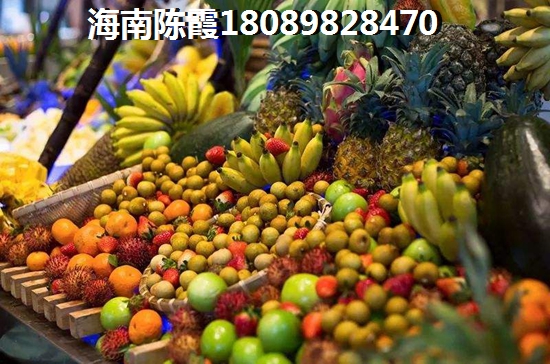 中国铁建龙沐湾一号养老配套介绍，乐东养老宜居城市排名