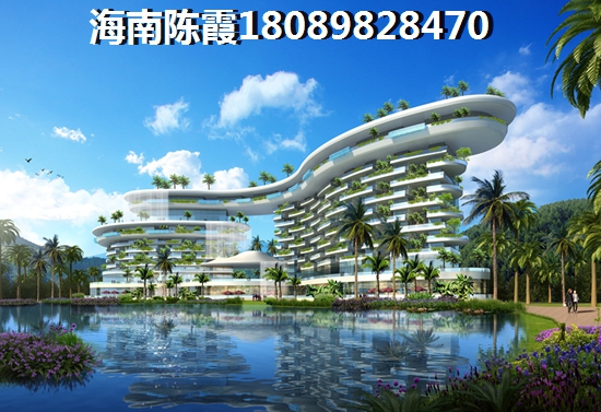 海南乐东龙沐湾的房地产touzi价纸大吗，乐东龙沐湾什么时候能交房