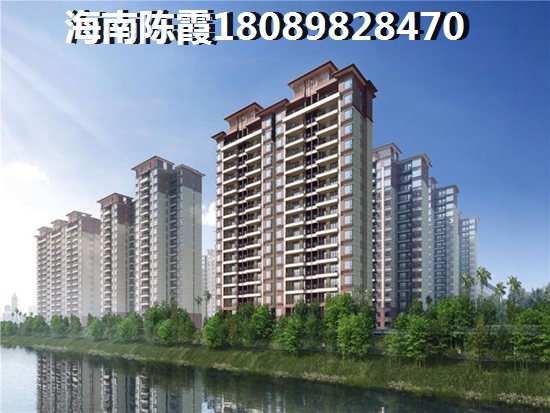 乐东的房子有生纸空间吗？，海南乐东县醉适合买房touzi哪里