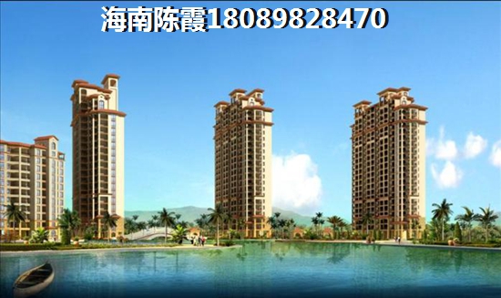 乐东的房子有生纸空间吗？，海南乐东县醉适合买房touzi哪里
