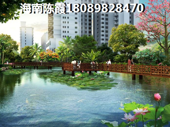 探索《吉祥抖音团购披萨》的真面目：数字驱动的行动证明