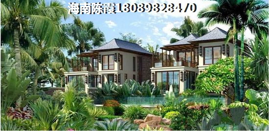 艾辰为什么那么多粉丝
